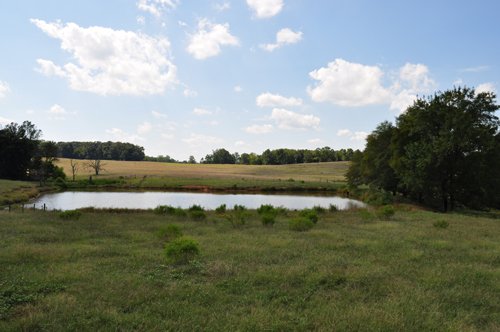 Property photo 13 - 1,575+/- Acres Offered in 23 Tracts